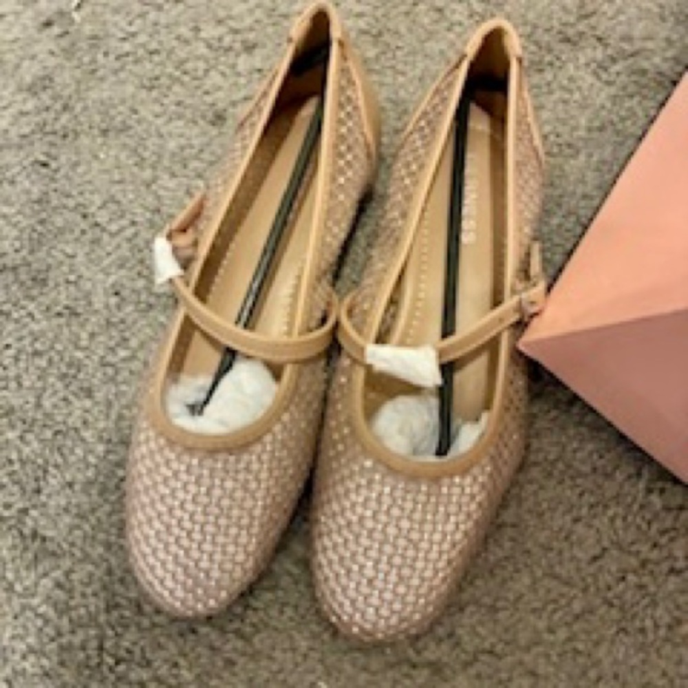 Elegant Beige and mesh Mary Jane Flats